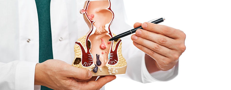 Consultant Proctologist